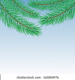 beautiful festive background with spruce branches,  vector  illustration
