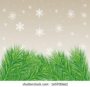 beautiful festive background with spruce branches,  vector  illustration
