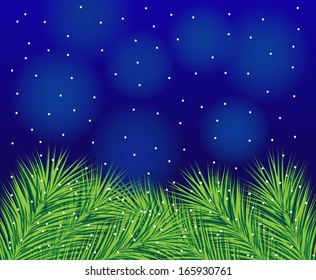 beautiful festive background with spruce branches,  vector  illustration