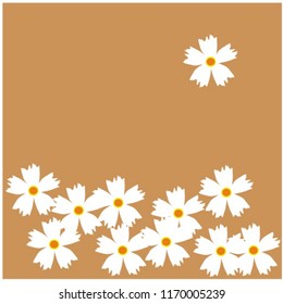 A beautiful Festive flower blooms in autumn in Eastern India and has strong bonding with the great Bengali festival, Durgapuja