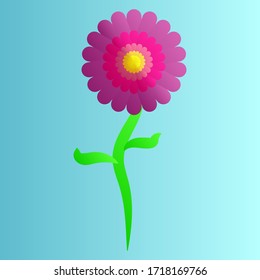 Beautiful festive purple natural flower with petals on a blue background.