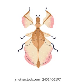 Beautiful fictional beetle. Whimsical bug species. Wonderful delicate insect with gentle wings, top view. Abstract imaginary phylliidae. Flat vector illustration isolated on white background