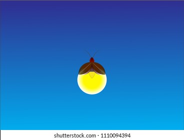 Beautiful firefly spread wings and light at the end of the body. design Insect beetle firefly. Vector set of  simple cartoon drawings with different angles and elements.