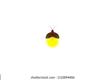 Beautiful firefly spread wings and light at the end of the body. design Insect beetle firefly. Vector set of  simple cartoon drawings with different angles and elements.