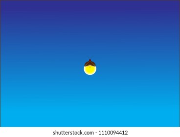 Beautiful firefly spread wings and light at the end of the body. design Insect beetle firefly. Vector set of  simple cartoon drawings with different angles and elements.