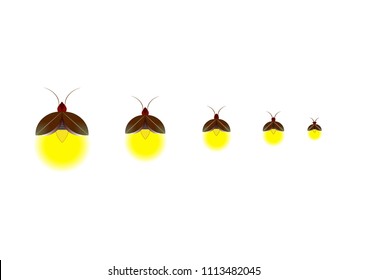 Beautiful firefly spread wings and light at the end of the body. design Insect beetle firefly. Vector set of simple cartoon drawings with different angles and elements.
