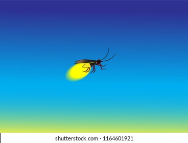 Beautiful firefly spread wings and light at the end of the body. design Insect beetle firefly. Vector set of simple cartoon drawings with different angles and elements.
