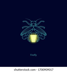 beautiful firefly vector illustration in dark background.