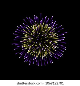 Beautiful firework. Couple romantic salute isolated on black background. Light decoration firework for Christmas, New Year, Valentine Day celebration. Symbol of holiday Vector illustration