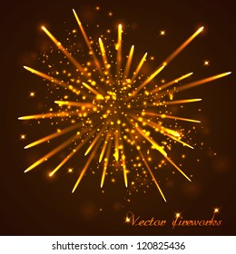 Beautiful  Fireworks. Vector