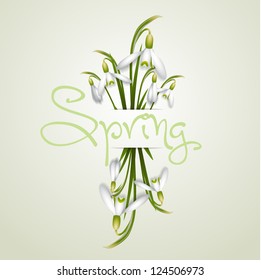 Beautiful First spring flowers - Snowdrops - vector design element - with paper strip for text