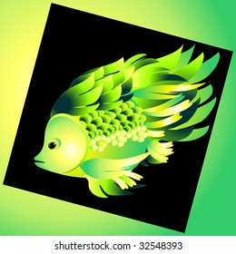 BEAUTIFUL FISH 4