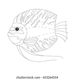 Beautiful fish, coloring page