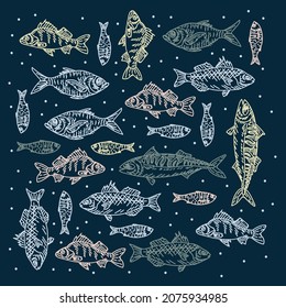 Beautiful Fish illustration background. A variety of marine and river animals. Postcard Marine life for cooking. Fish for a seafood food poster. Vector illustration