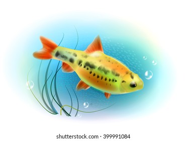 Beautiful fish in the sea.  Aquarium fish.  Underwater world. Realistic  illustration.

