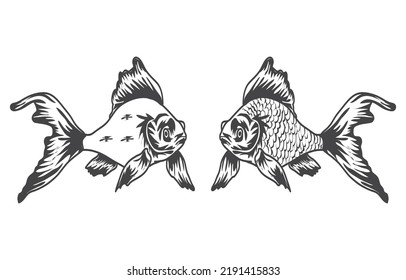 Beautiful Fish Sketches Premium Vector Element with White Background