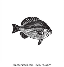 A beautiful fish vector art work.