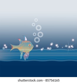 beautiful fish in the water