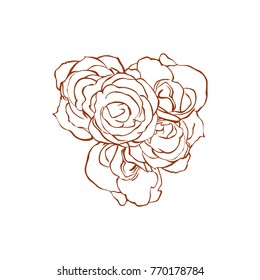Beautiful five ( 5 ) roses line art 