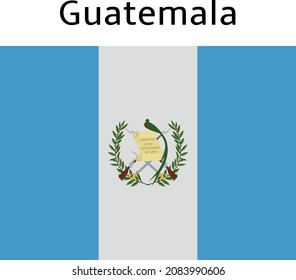 beautiful flag country vector design