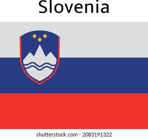 Hermoso vector de país de bandera simple 