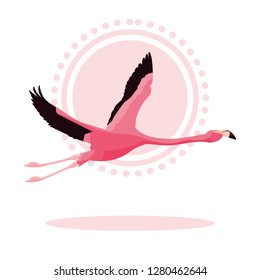 Beautiful Flamingo Bird Flying