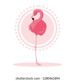beautiful flamingo bird stand