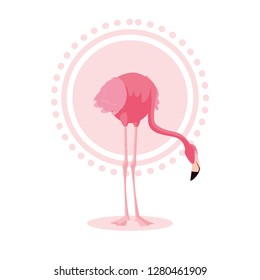 beautiful flamingo bird stand