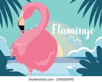 beautiful flamingo bird stand in the landscape