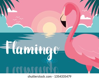 beautiful flamingo bird stand in the landscape