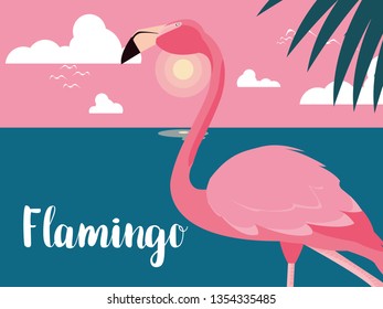 beautiful flamingo bird stand in the landscape