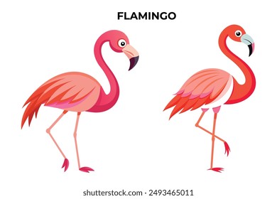Beautiful Flamingo on white background vector illustration