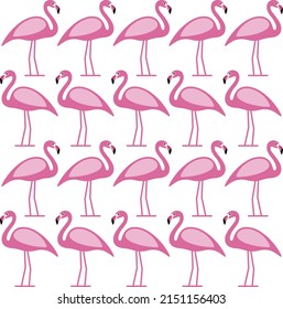 Beautiful Flamingo Standing In A Row, Bird Series
Same Images