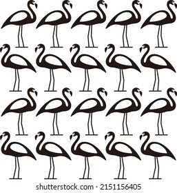 Beautiful Flamingo Standing In A Row, Bird Series
Same Images