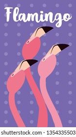 beautiful flamingos birds flock heads