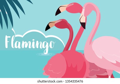beautiful flamingos birds flock in the landscape