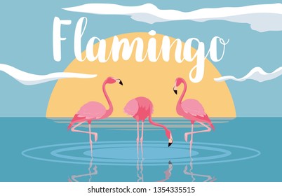 beautiful flamingos birds flock in the landscape