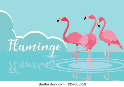 beautiful flamingos birds flock in the landscape