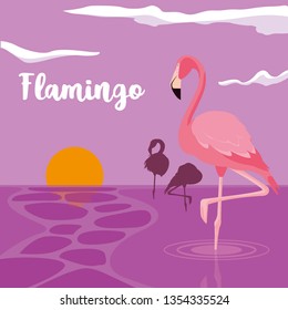 beautiful flamingos birds flock in the landscape