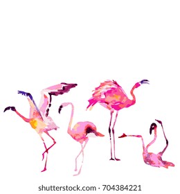 Beautiful flamingos, isolated on a white. Big set.