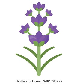 Beautiful Flat Icon of a Lavender Flower with Delicate Purple Blossoms and Green Stems