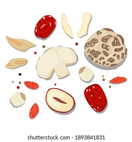 beautiful Flat Lay Food style vector illustration of  ingredient, isolated on white background. Chinese traditional herb. mushroom, red dates, goji berry, chinese yam, lily bulb, lotus seed