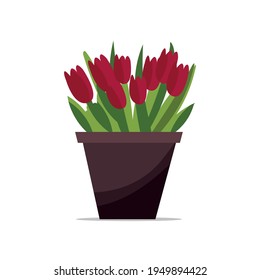 Beautiful flat pot of flowers on a white background. Blooming spring floral card. Vector flat design. Flat design. Botanical background.
