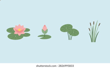 Beautiful flat vector illustration of lotus flowers, buds, leaves, and cattails on a light blue background.
