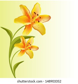 Beautiful floral background. 