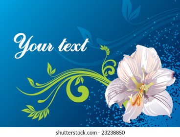 beautiful floral background