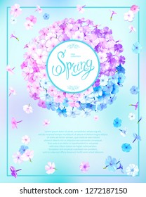 Beautiful floral background with blooming flowers of pink, lilac and light blue phloxes. Inscription Spring in round frame on pastel sky blue background. Vector illustration