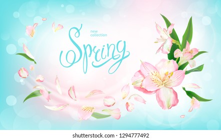 Beautiful floral background with blooming flowers of light pink Alstroemeria. Inscription Spring on pastel blue background. Warm breeze carries tender petals and green leaves. Vector illustration.