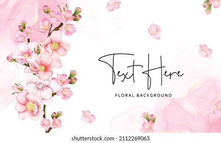 beautiful floral background cherry blossom flower