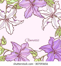 Beautiful floral background of Clematises